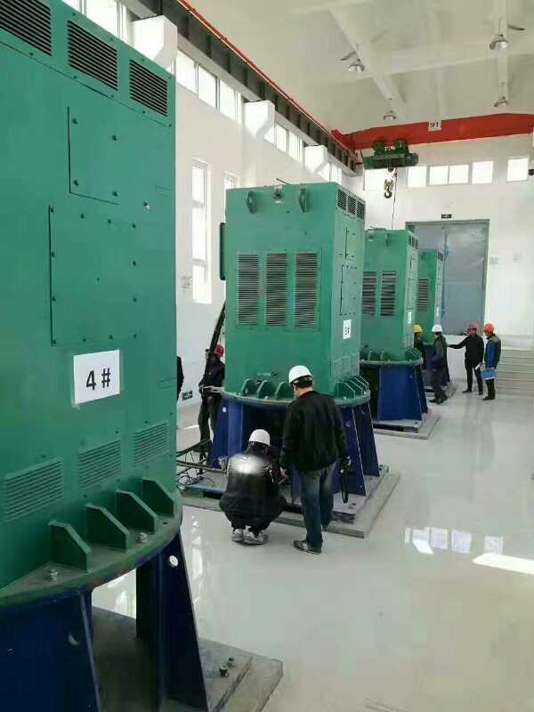 JR137-8某污水处理厂使用我厂的立式高压电机安装现场