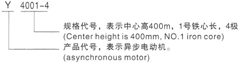 西安泰富西玛Y系列(H355-1000)高压JR137-8三相异步电机型号说明